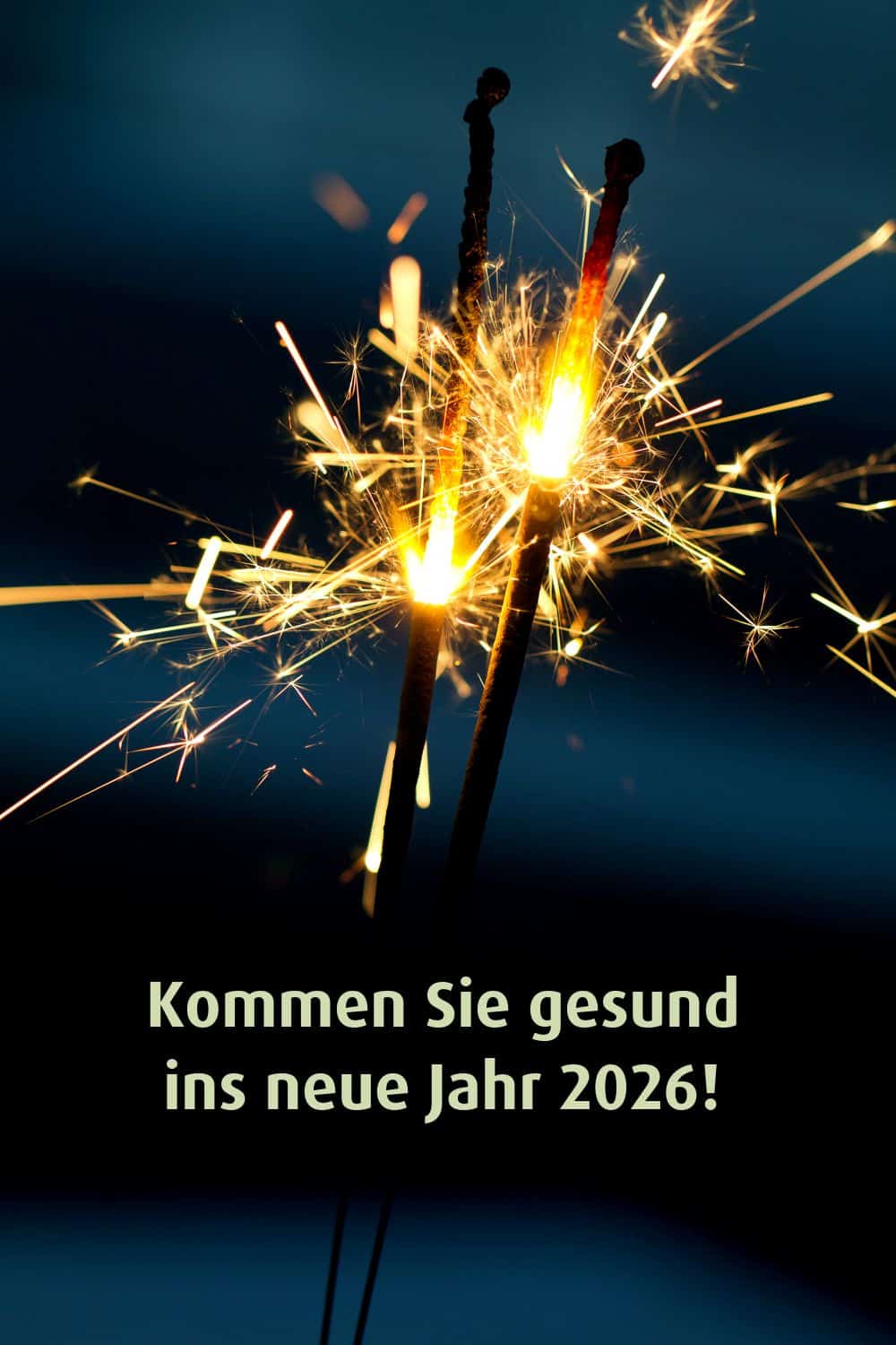 Guten Rutsch ins Jahr 2026