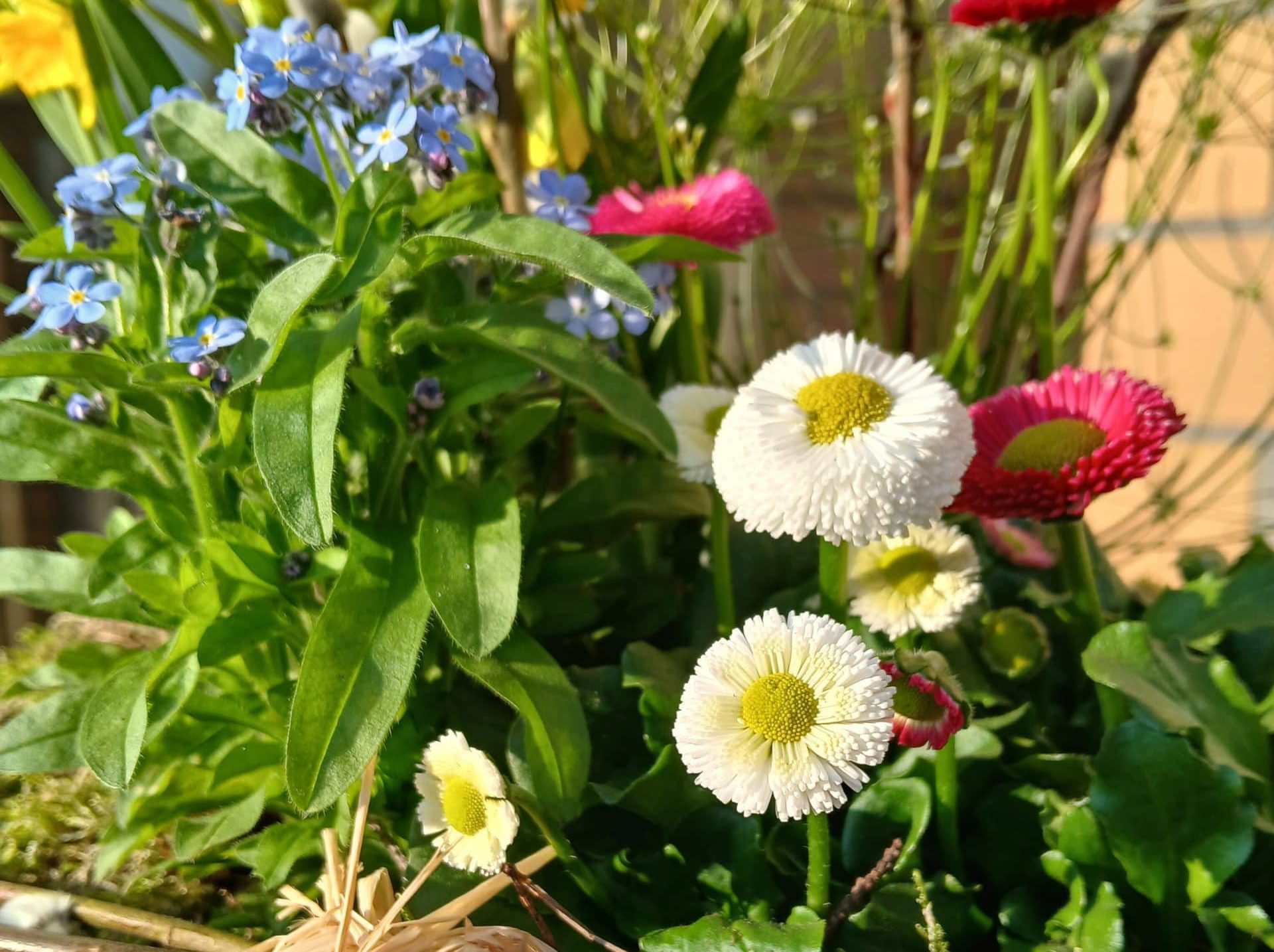 NEWSLETTER der Einrichtungsleitung