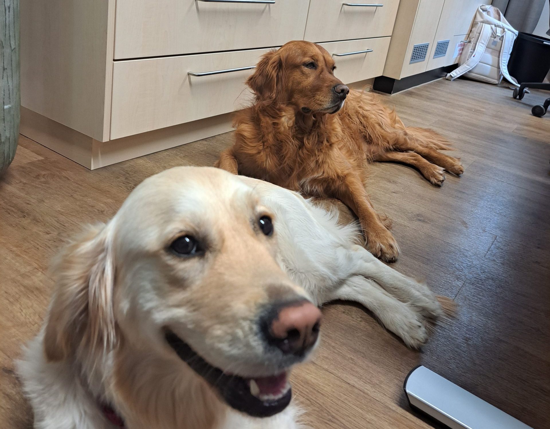 Käthe hatte Besuch!